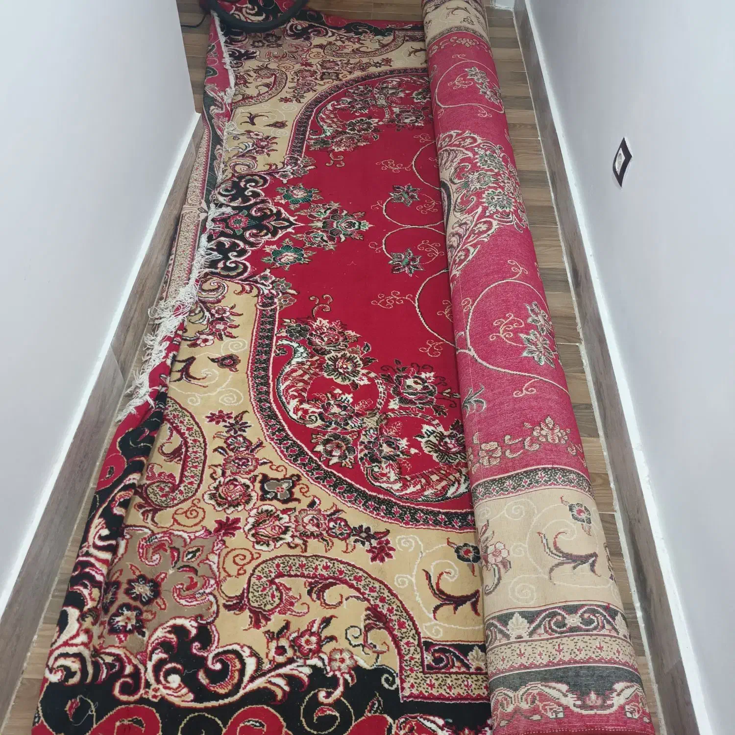 فرش|فرش|تربت جام, جلگه موسی آباد|دیوار