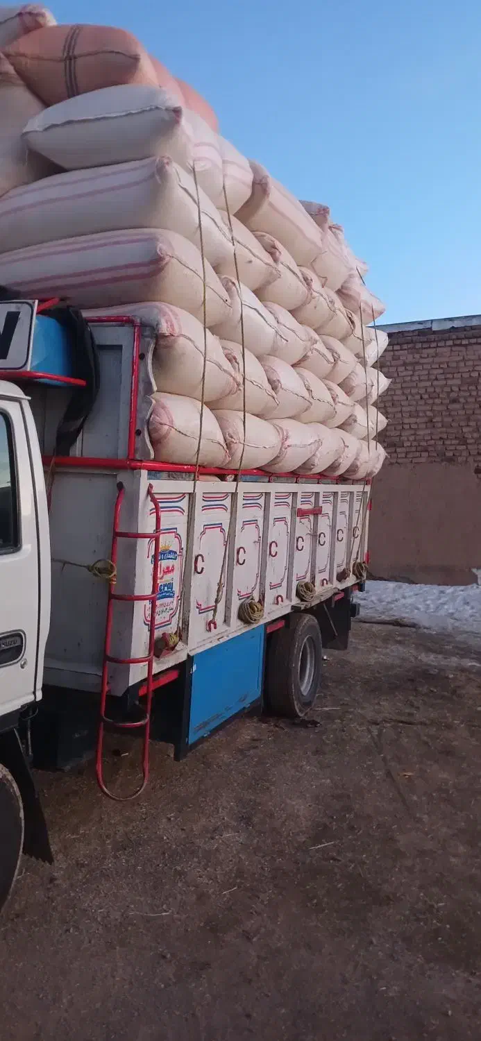 کاه گندم مخر.م|لوازم جانبی حیوانات|خنداب, |دیوار