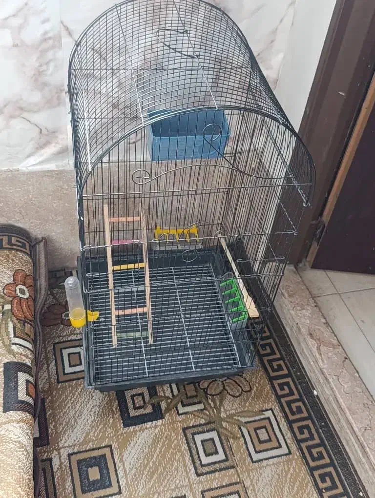 قفس پرنده|لوازم جانبی حیوانات|فولادشهر, B4|دیوار