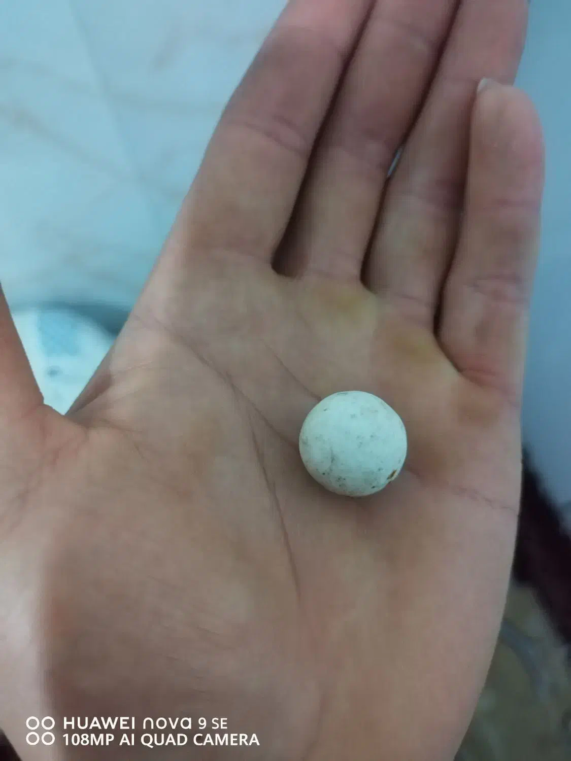 سنگ|کلکسیون اشیاء عتیقه|ورامین, شهرک ولیعصر|دیوار