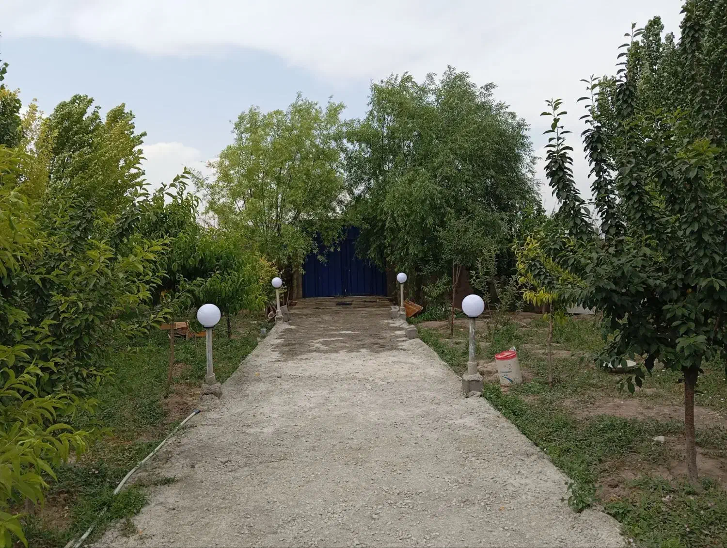 باغچه با درختان مثمر|فروش دفتر صنعتی، کشاورزی، تجاری|محمدشهر, محمدشهر|دیوار