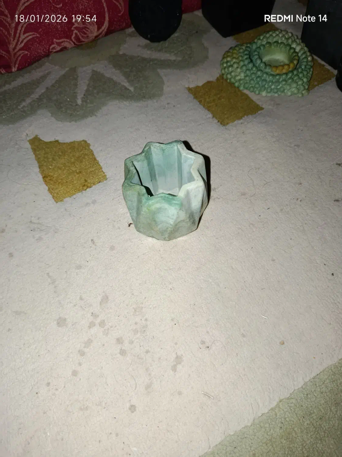 گلدان|گل و گیاه طبیعی|سامن, |دیوار