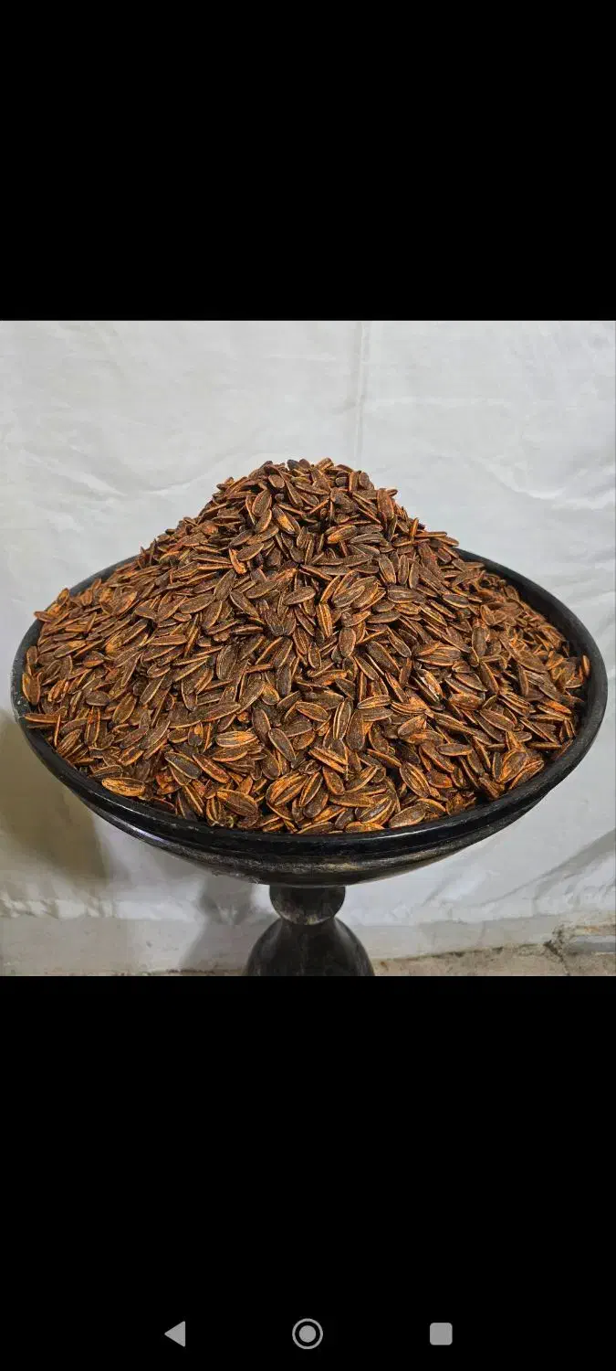 استخدام بازاریاب|استخدام بازاریابی و فروش|قروه, |دیوار