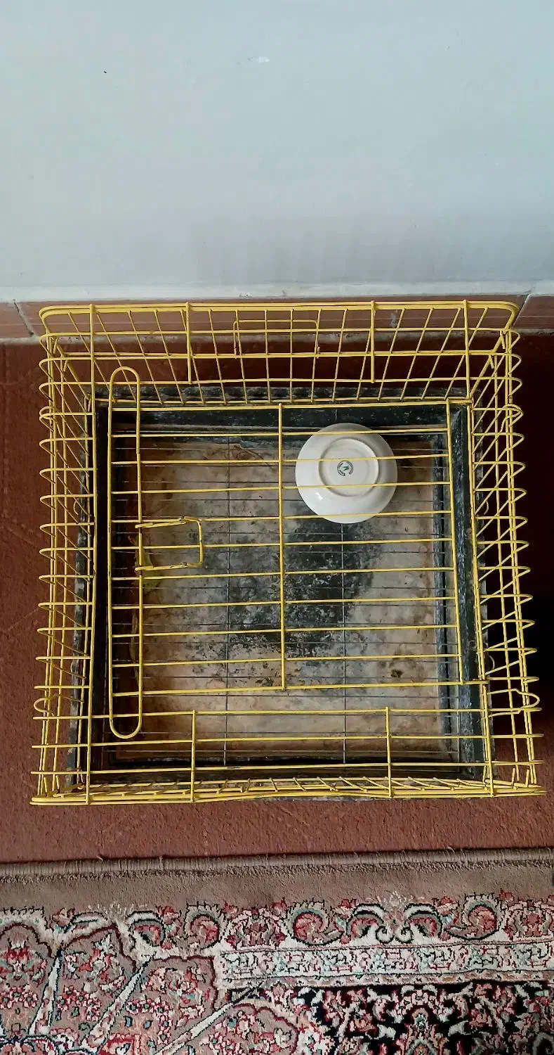 قفس خرگوش قفس همستر|لوازم جانبی حیوانات|پاکدشت, پاکدشت (مامازند)|دیوار