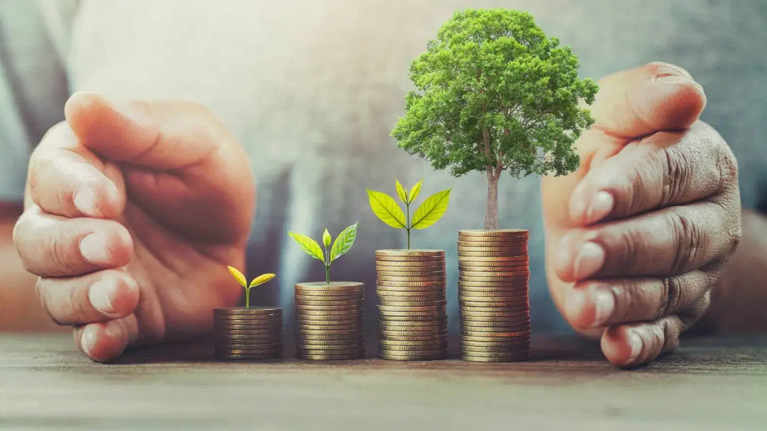 فرصت سرمایه گذاری تضمینی و پربازده|خدمات مالی، حسابداری، بیمه|سنندج, |دیوار