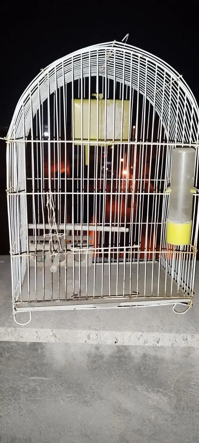 قفس پرنده|لوازم جانبی حیوانات|بوشهر, |دیوار