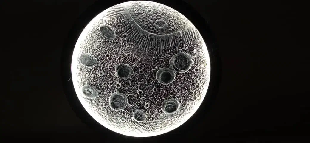 تابلو شب نما|تابلو، نقاشی، عکس|خرمآباد, |دیوار