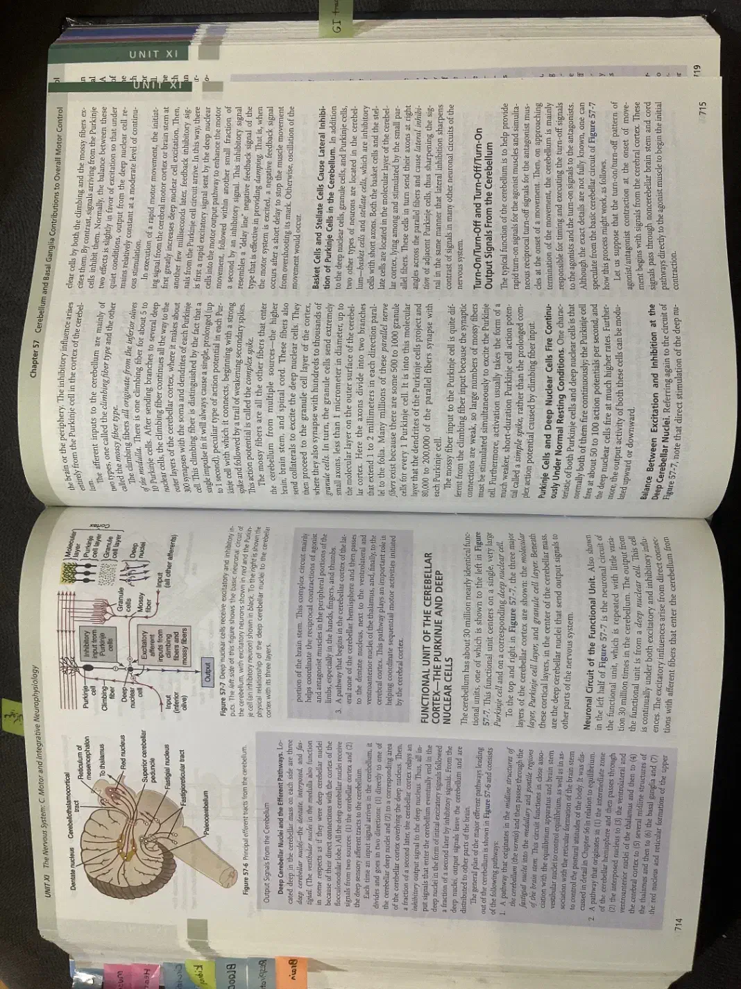 فیزیولوژی گایتون (پزشکی) ۲۰۲۱|کتاب و مجله آموزشی|رشت, منظریه|دیوار