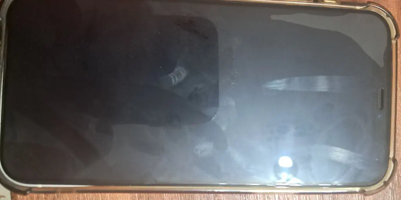 ایفون۱۲ نرمال|موبایل|سلماس, |دیوار