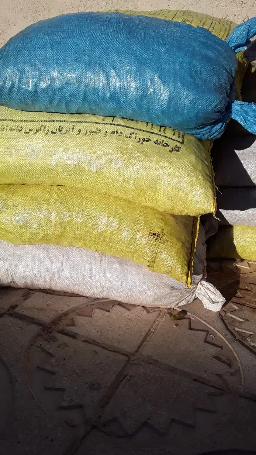 بلوط|حیوانات مزرعه|گچی, |دیوار