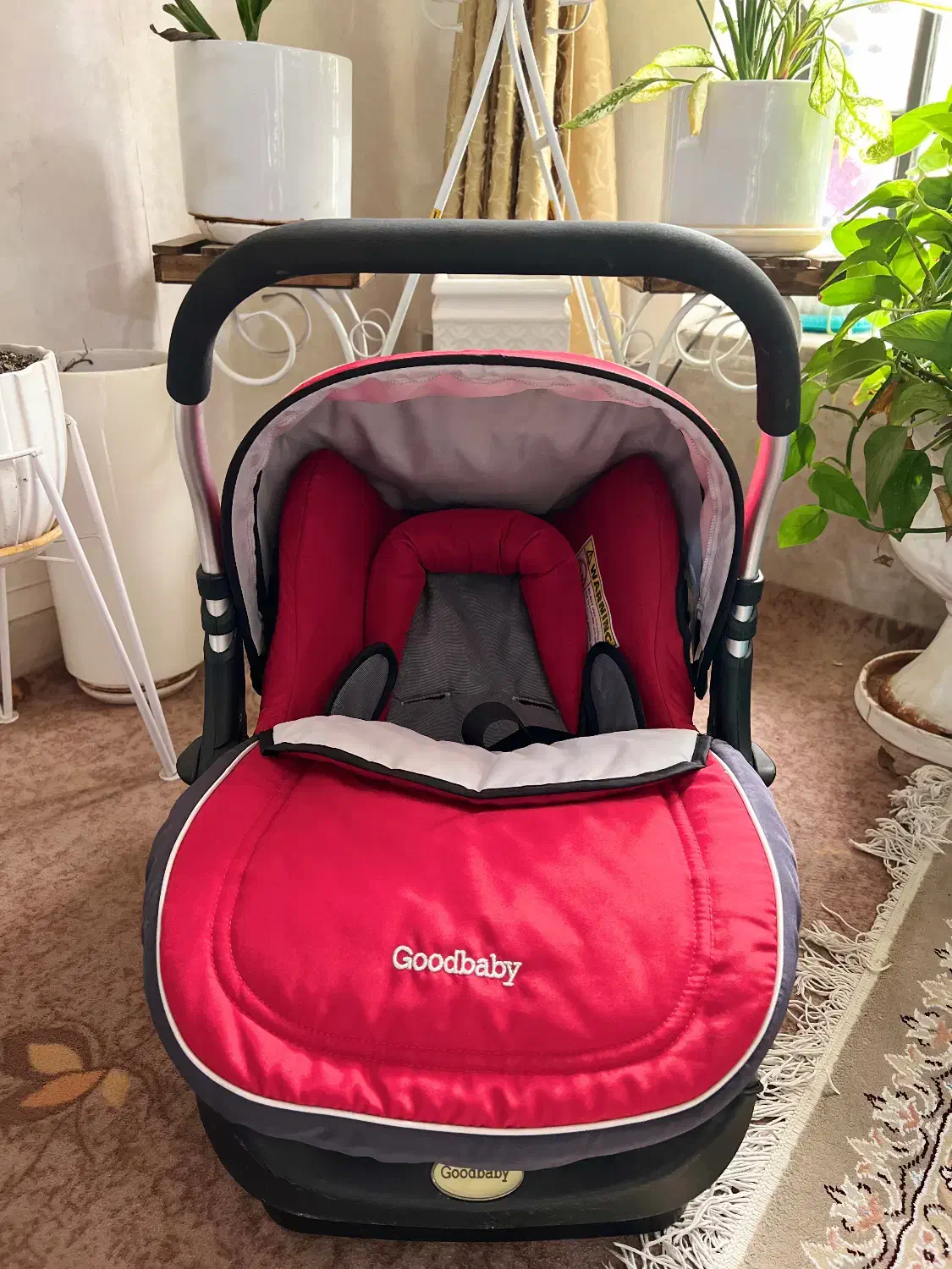 کریر|کالسکه و لوازم جانبی|شیراز, شاه قلی بیگی|دیوار