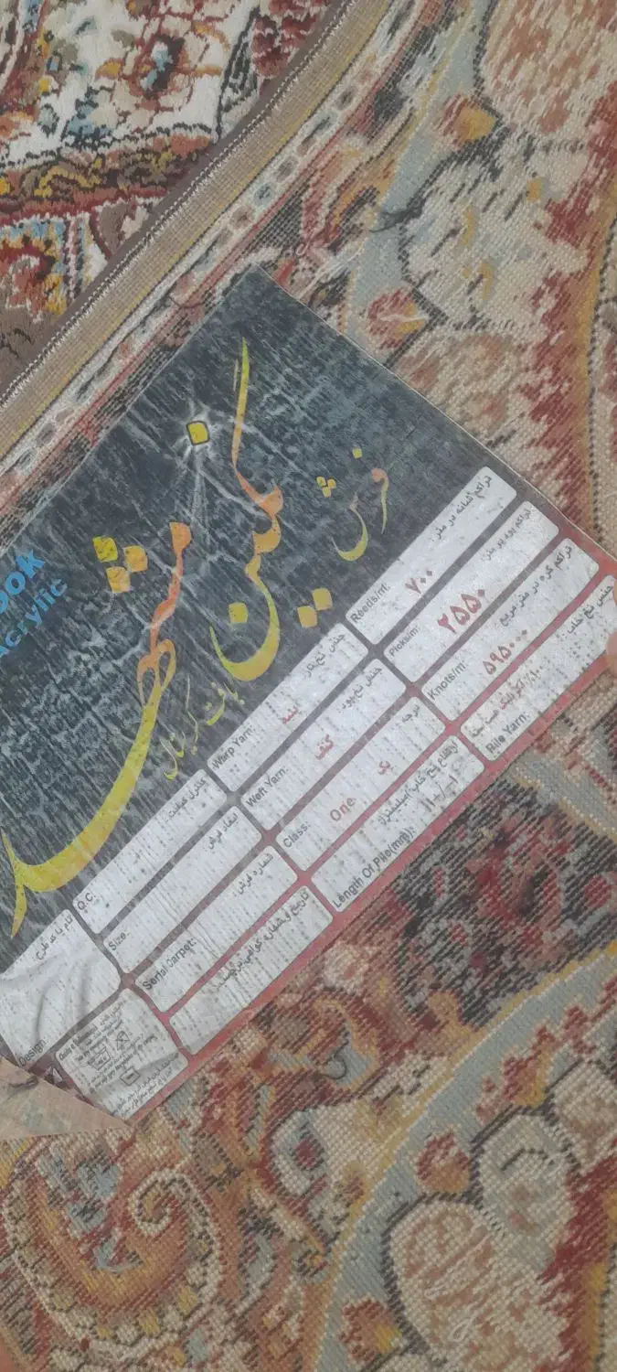 فرش ۹ و ۶ متری|فرش|رشت, معلولین|دیوار