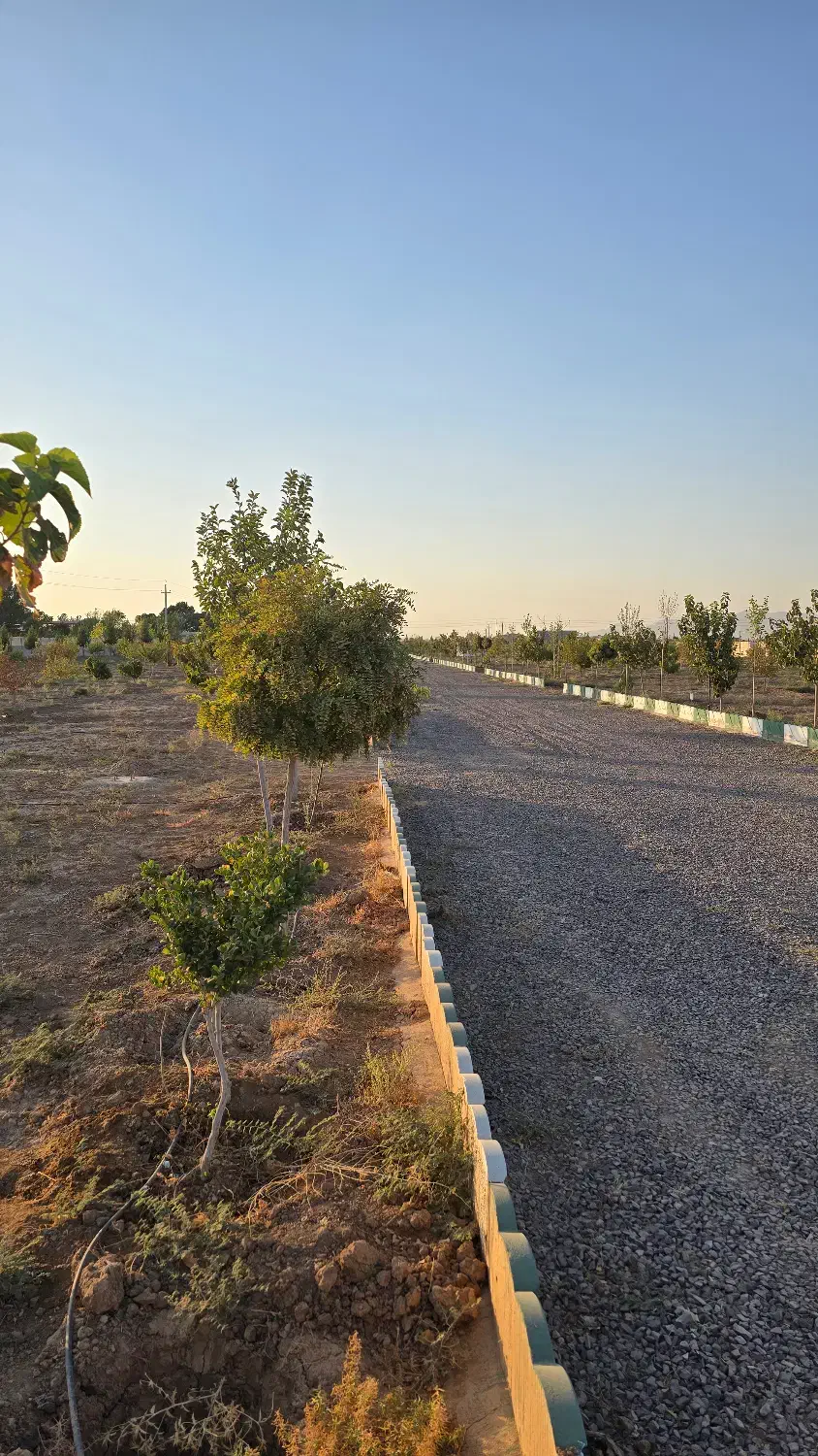 باغچه ۵۰۰متری ۵۰۰ملیون سند تک برگ|فروش دفتر صنعتی، کشاورزی، تجاری|تهران, نعمتآباد|دیوار