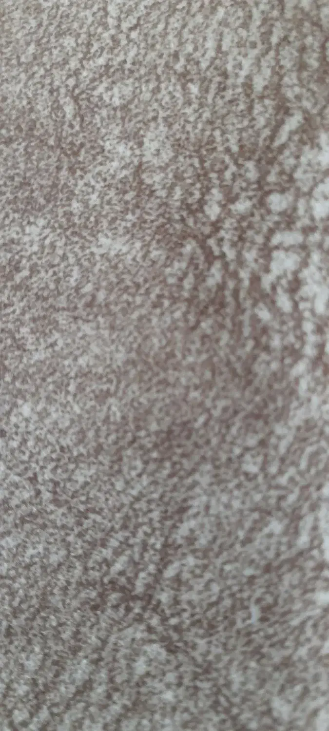 فروش مغازه|فروش مغازه و غرفه|تربتحیدریه, نواب صفوی|دیوار