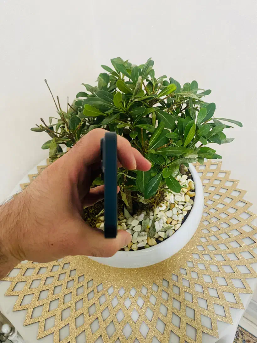 آیفون ۱۳|موبایل|تهران, صد دستگاه|دیوار