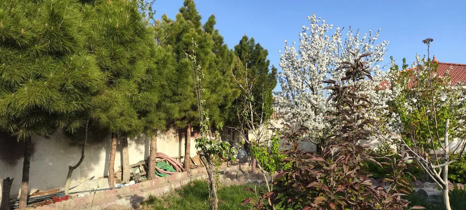 تصویر 15