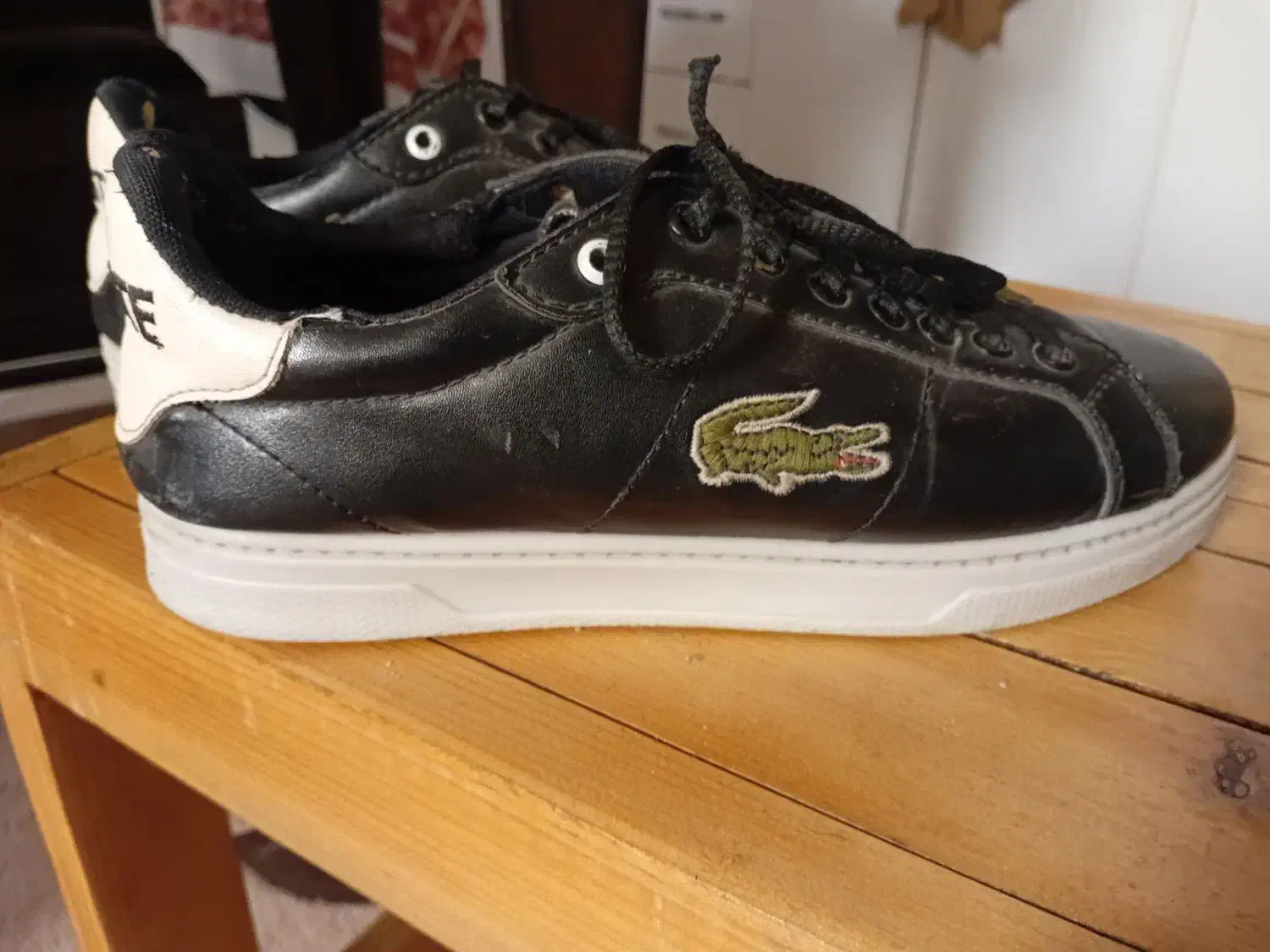 کفش|کیف، کفش، کمربند|بوشهر, |دیوار