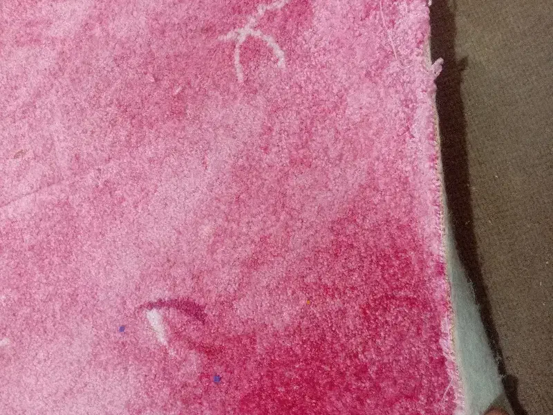 پالاز موکت|موکت|بجنورد, |دیوار