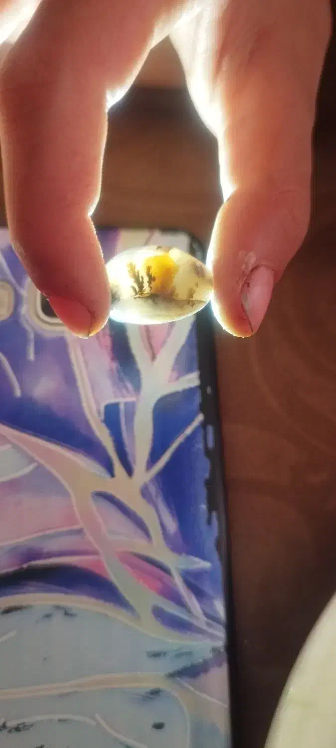 نگین شجر|جواهرات|خمینیشهر, |دیوار