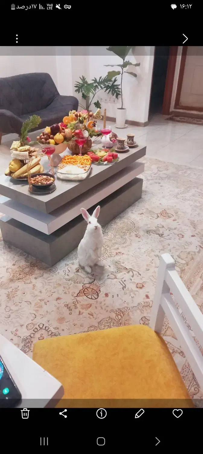 فرش ۹متری کرم طرح هخامنشی جدید|فرش|قائمشهر, |دیوار