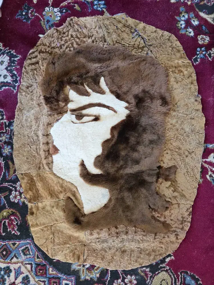 طرح رخ برروی پوست|صنایع دستی و سایر لوازم تزئینی|فیروزآباد (فارس), |دیوار