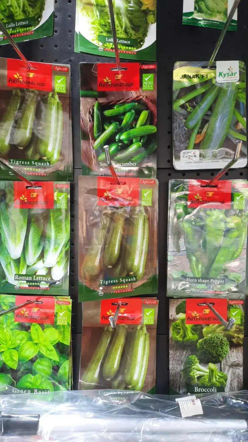 بذر وارداتی  دست اول و با کیفیت عمده وجزئی|گل و گیاه طبیعی|تهران, میدان ولیعصر|دیوار