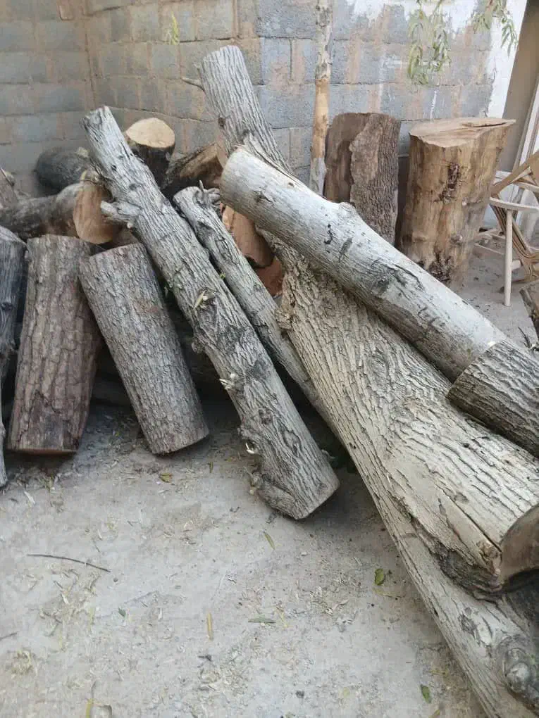 خرید چوب های خشک و تر وهرس باغ و چوب های اجیلی|خدمات باغبانی و درختکاری|فلاورجان, |دیوار