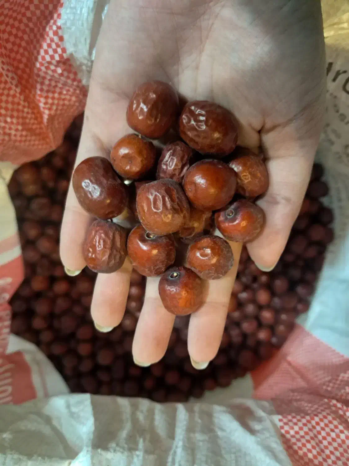 مستقیم از تولیدکننده عناب زرشک کشک مشتی و رشتهای|خوردنی و آشامیدنی|مشهد, نوید|دیوار