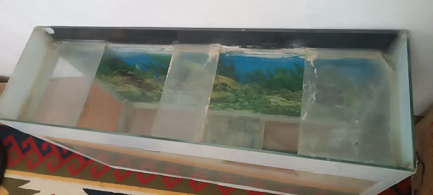 آکواریوم و پایه فرفژه|ماهی|خرم‌آباد, |دیوار