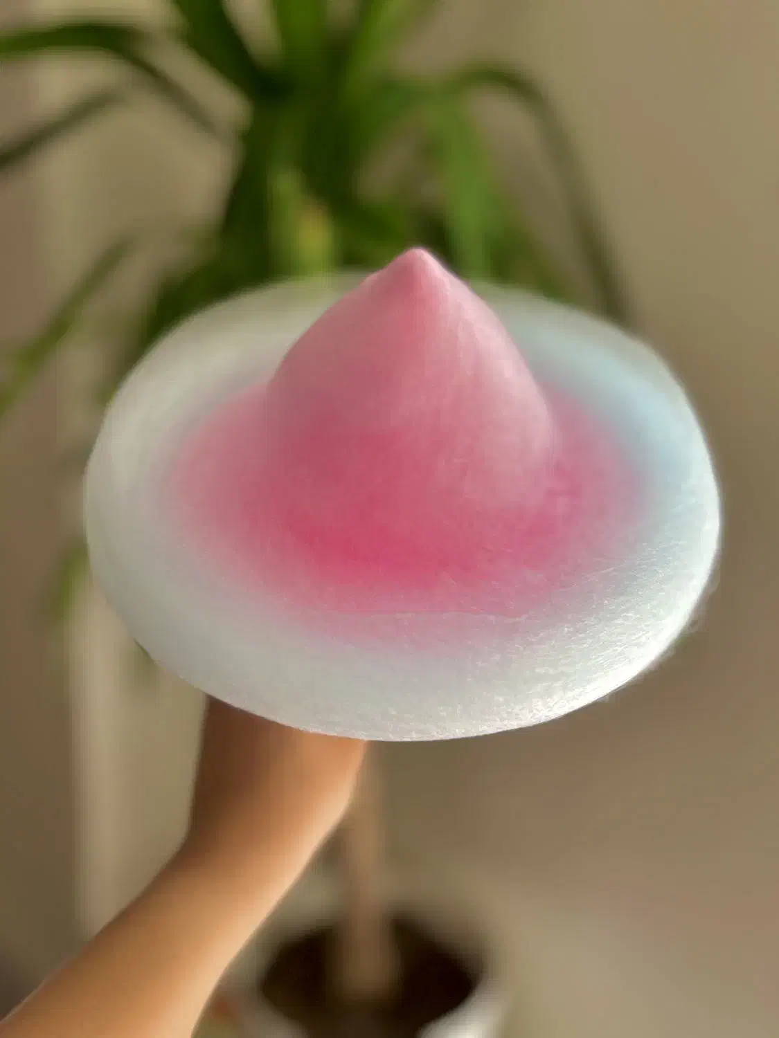 پشمک میوه ای پک شده و طرح دار|خوردنی و آشامیدنی|شیراز, فرهنگ شهر|دیوار