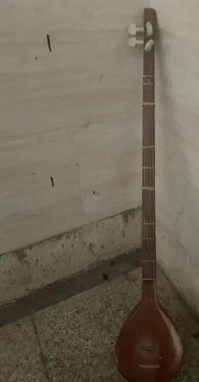 سه تار|سازهای سنتی|تهران, آرژانتین|دیوار