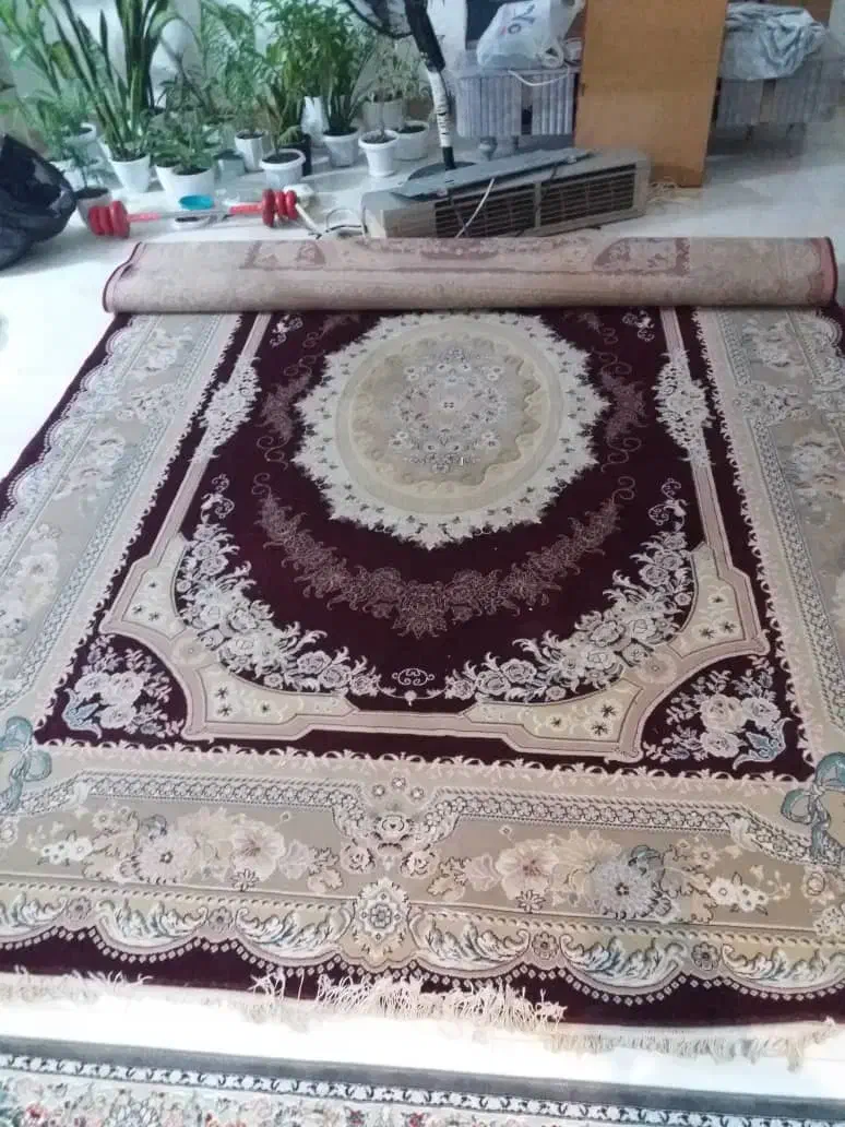 فرش۹متری سالم|فرش|تالش, جوکندان|دیوار