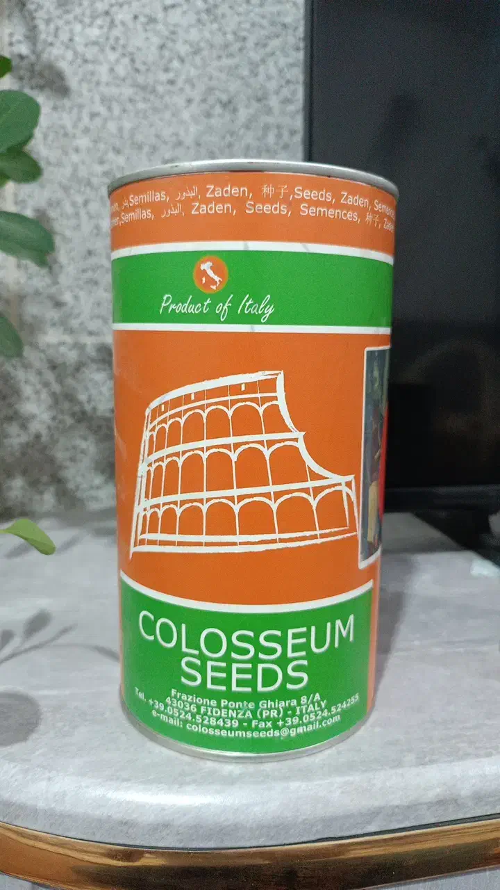 بذر، کشت نشا|خدمات باغبانی و درختکاری|ابهر, |دیوار