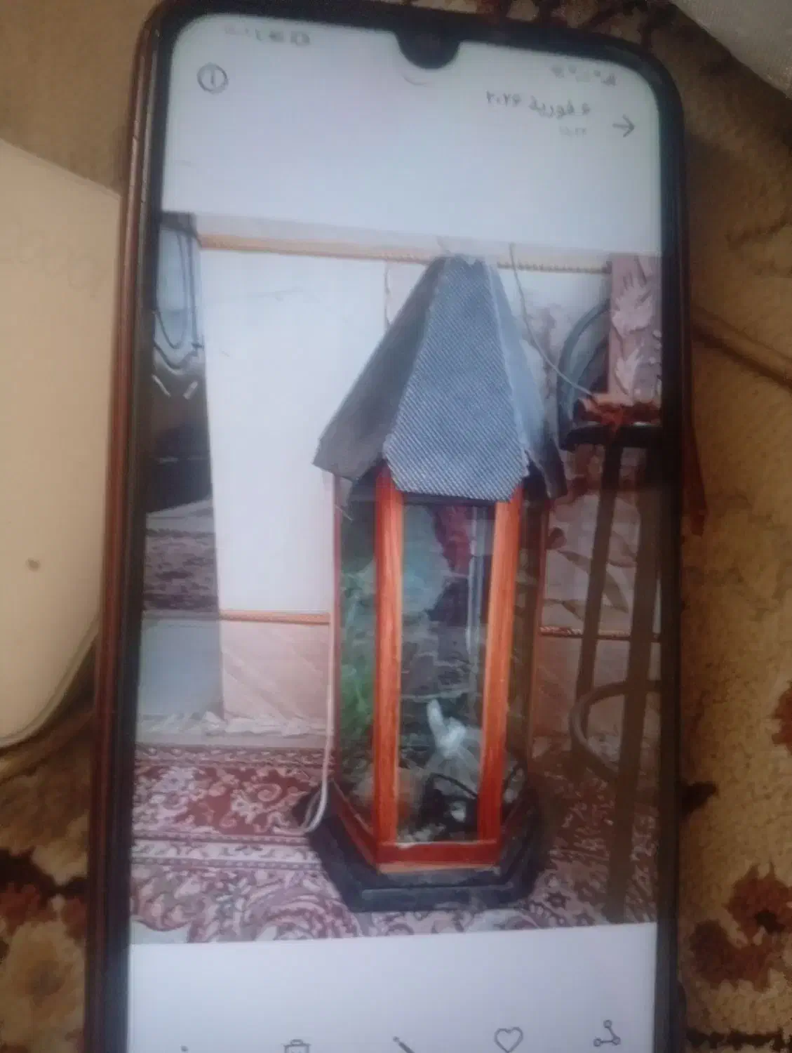 ماهی|ماهی|زاهدان, |دیوار