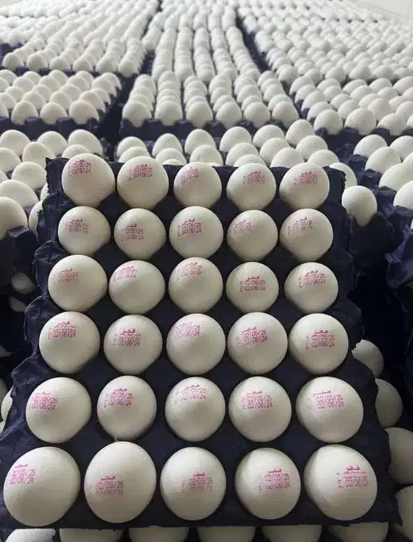 تخم مرغ روز پخش سیار فروش|خوردنی و آشامیدنی|تهران, استاد معین|دیوار