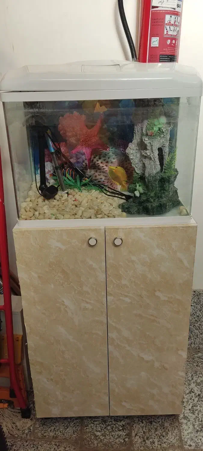 آکواریوم نو|ماهی|مبارکه, |دیوار