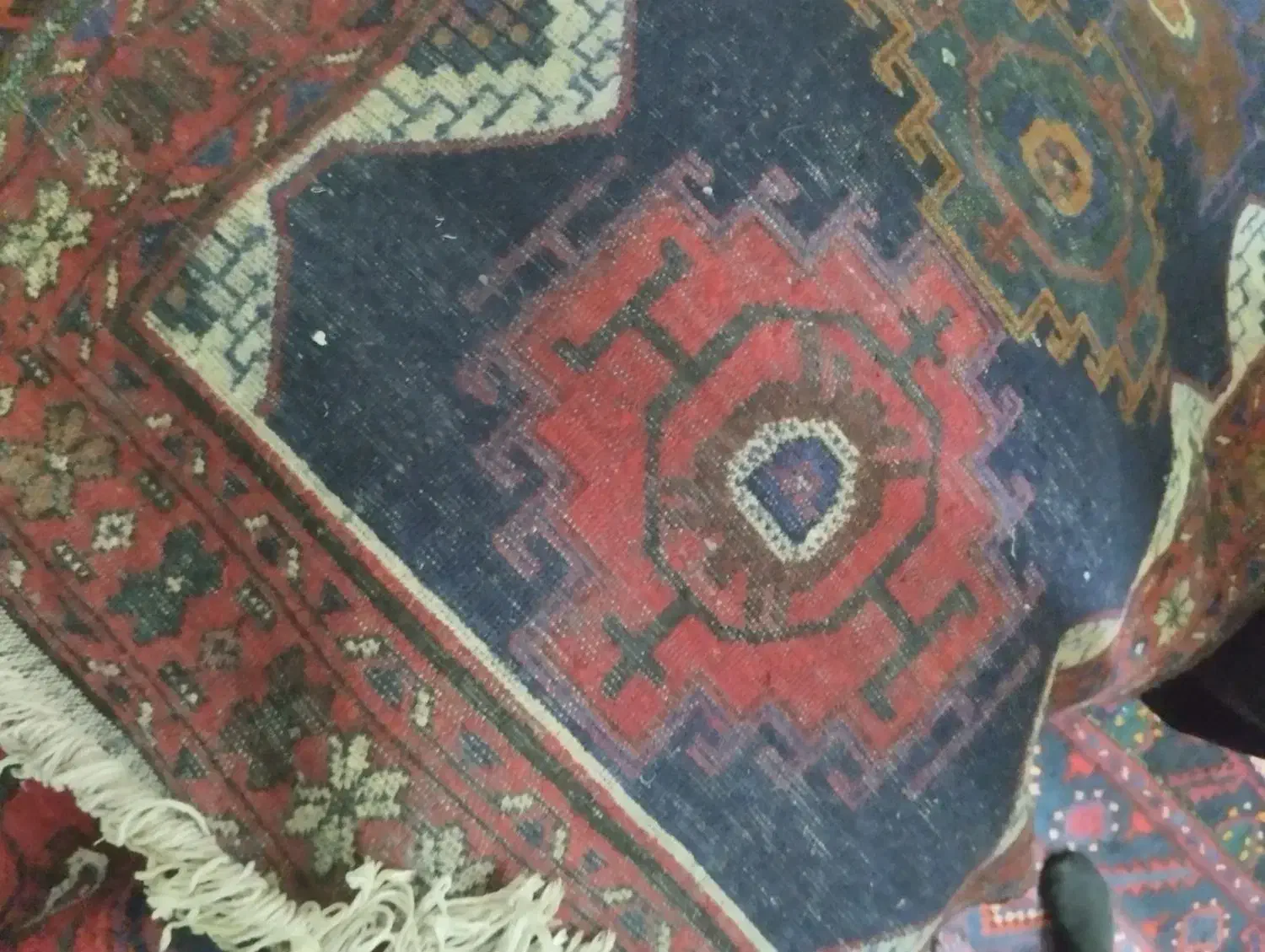 فرش دستباف ۳متری|فرش|وحیدیه, |دیوار