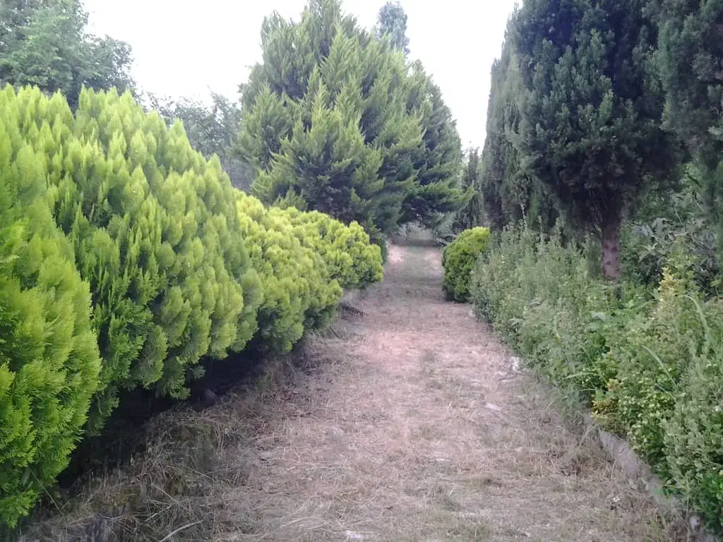 باغ ویلا|فروش خانه و ویلا|اسالم, |دیوار