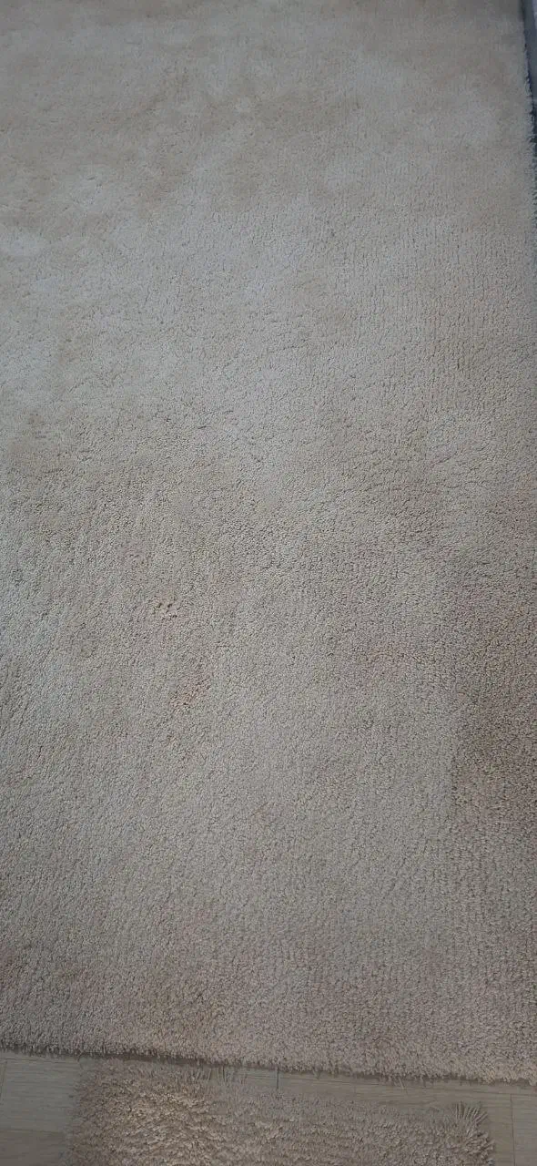 پالاز موکت|موکت|سقز, |دیوار