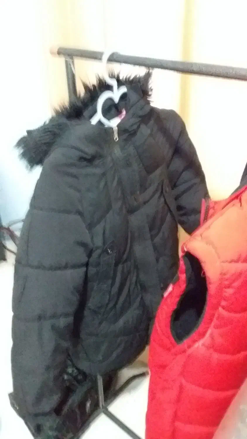 کاپشن  لارژ|لباس|صومعه‌سرا, |دیوار