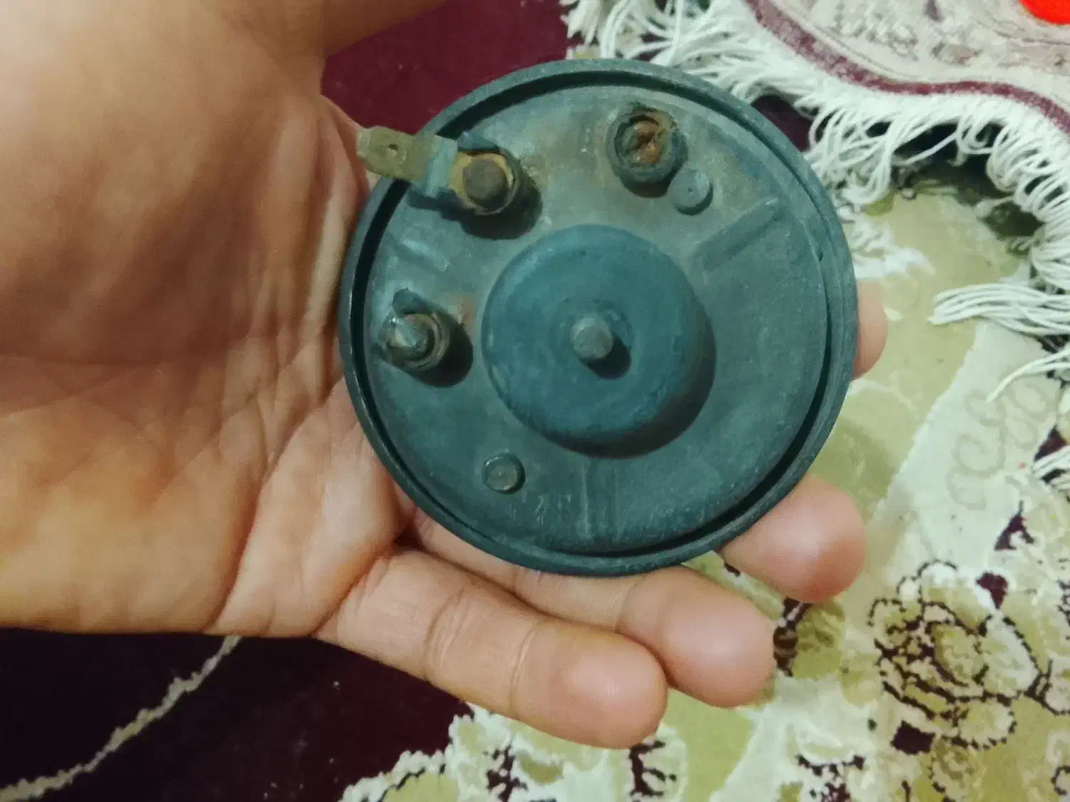 بوق حلزونی|قطعات یدکی و لوازم جانبی|لاهیجان, بازکیاگوراب|دیوار