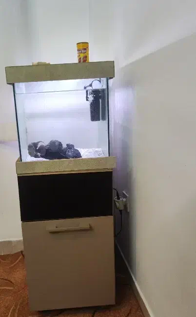 آکواریوم کمد|ماهی|صباشهر, |دیوار