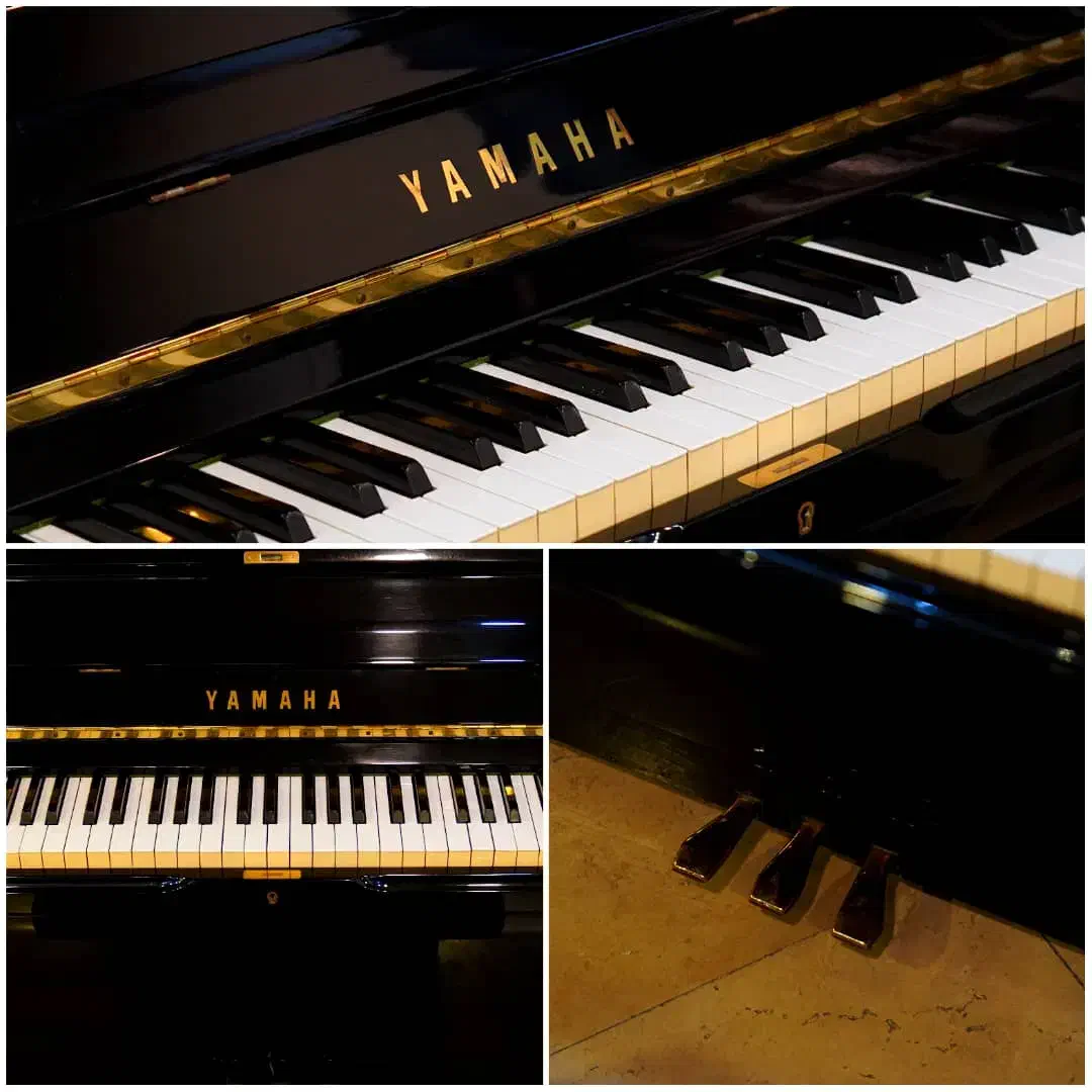 Piano Electronic new|پیانو، کیبورد، آکاردئون|تهران, ونک|دیوار