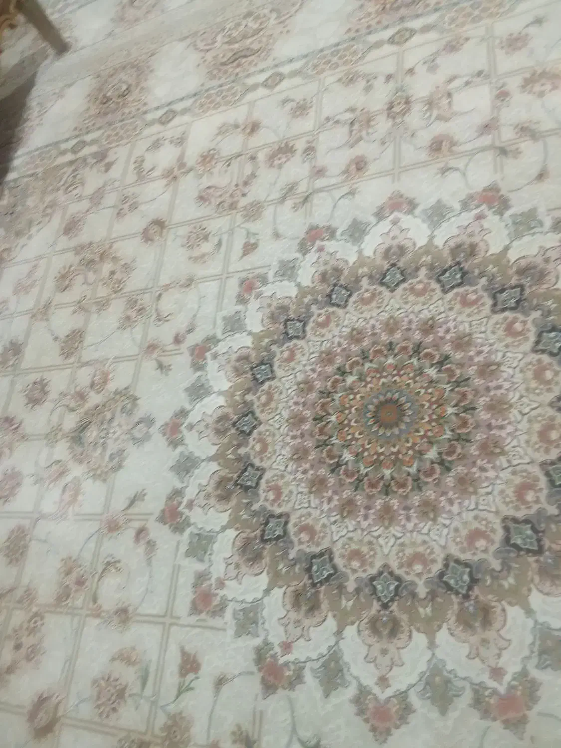 دو عدد فرش ۱۲متری گل برجسته ابریشم.فقط معاوضه|فرش|دورود, |دیوار