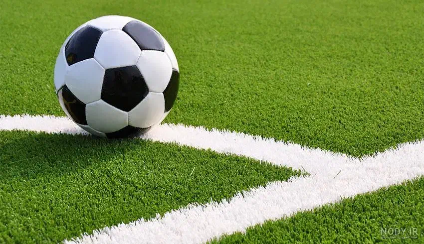 شرکت تولید چمن مصنوعی در چند شعبه|خدمات باغبانی و درختکاری|تهران, شهرک هما|دیوار