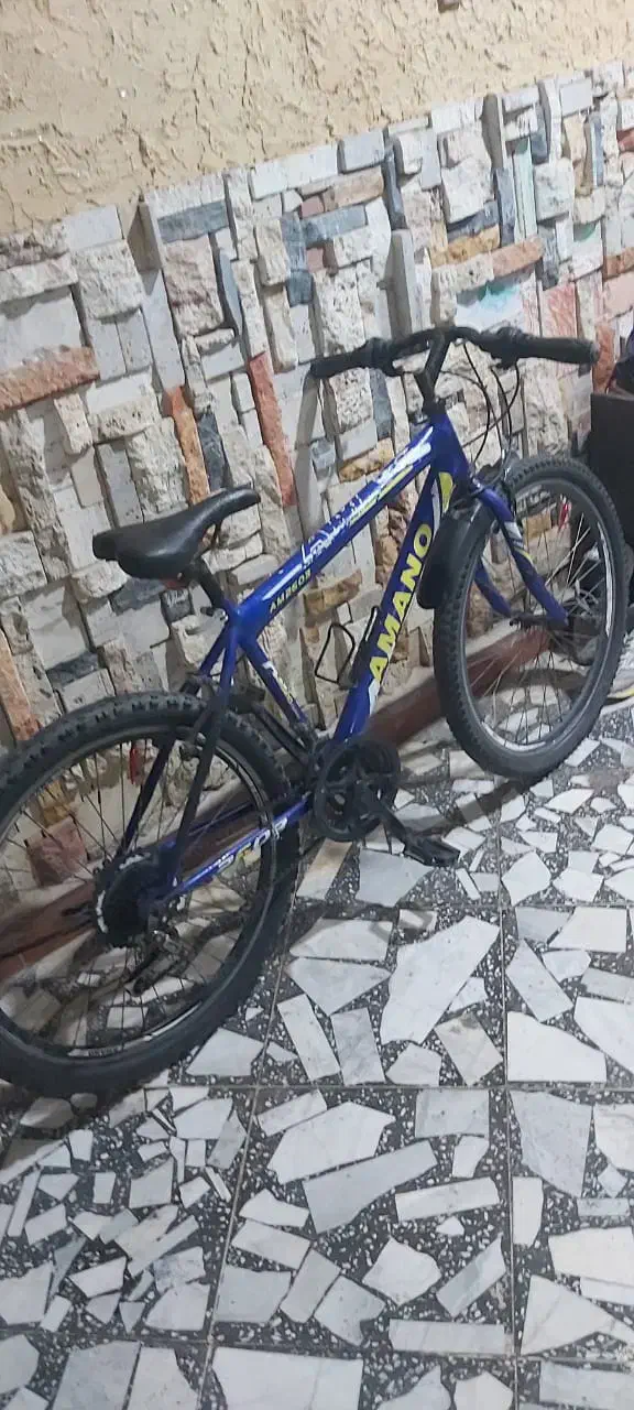 دوچرخه سایز ۲۴|دوچرخه، اسکیت، اسکوتر|بندر انزلی, نیمه شعبان|دیوار