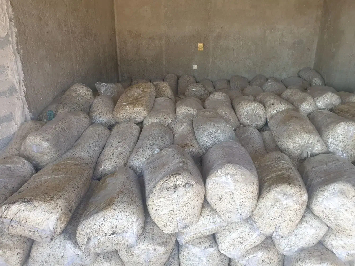 جلودار حیدری|عمده‌فروشی|فراشبند, |دیوار