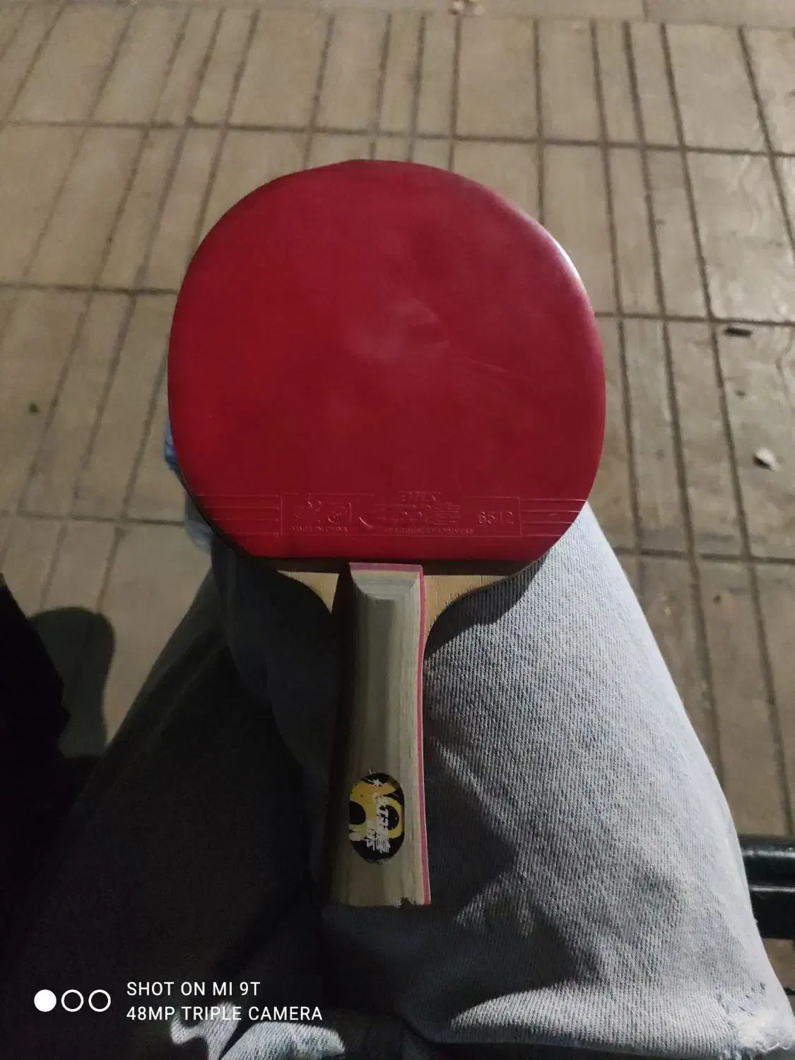 راکت پینگ پنگ dhs|ورزشهای توپی|شیراز, سینما سعدی|دیوار