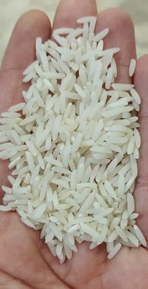 برنج کشت دوم درجه یک|خوردنی و آشامیدنی|زرگرشهر, |دیوار