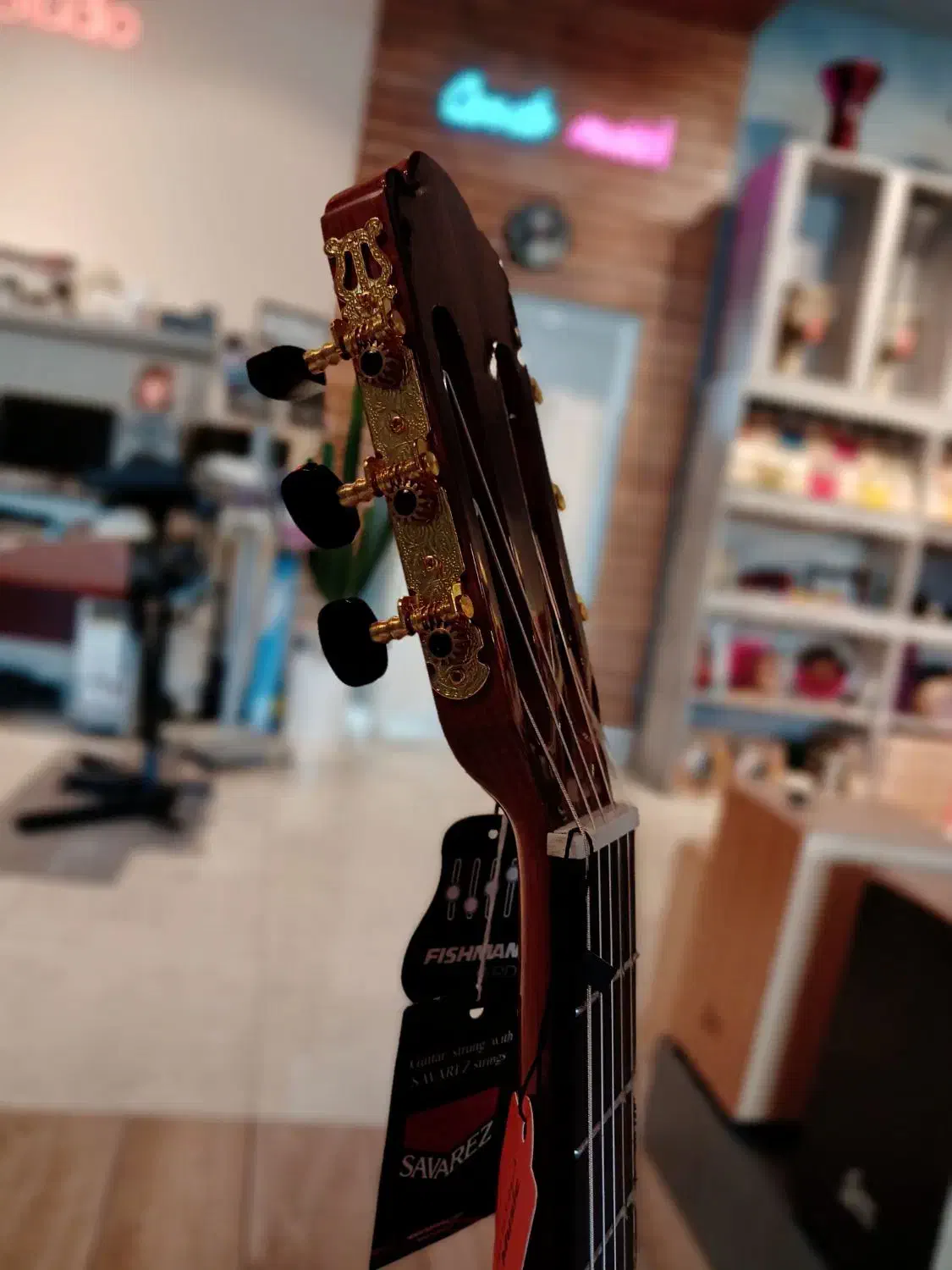 گیتار EDMUNDO|گیتار، بیس، امپلیفایر|قزوین, |دیوار